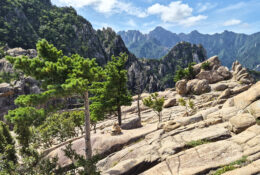South_Korea (19/70)